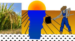 cropped-logo-espiga-JRRCM-1.jpg